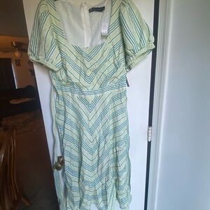 New York & Company Striped Green and White Dress